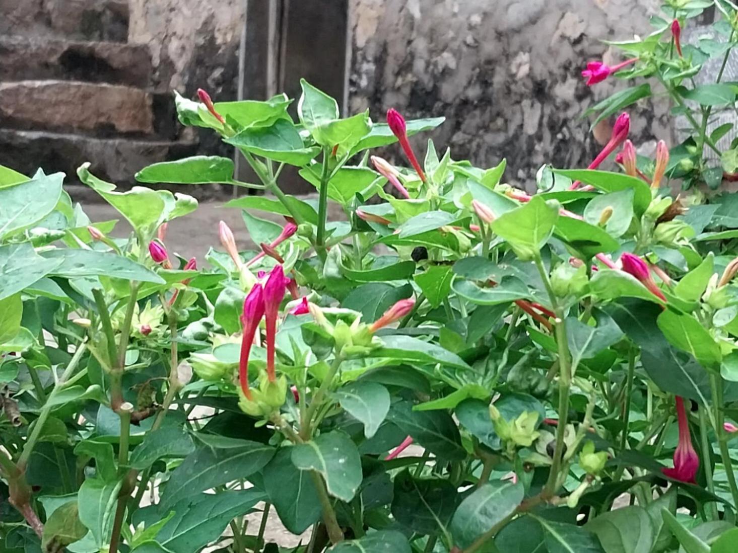 Trieu Hoan Homestay Cao Bang Dış mekan fotoğraf