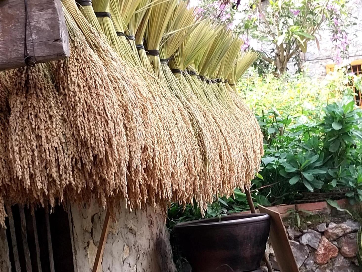 Trieu Hoan Homestay Cao Bang Dış mekan fotoğraf