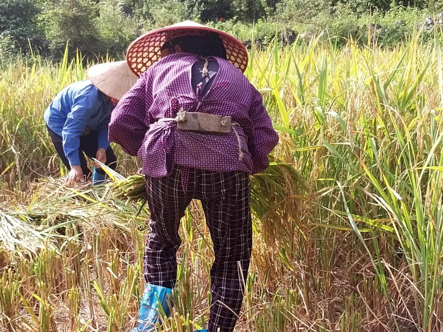 Trieu Hoan Homestay Cao Bang Dış mekan fotoğraf